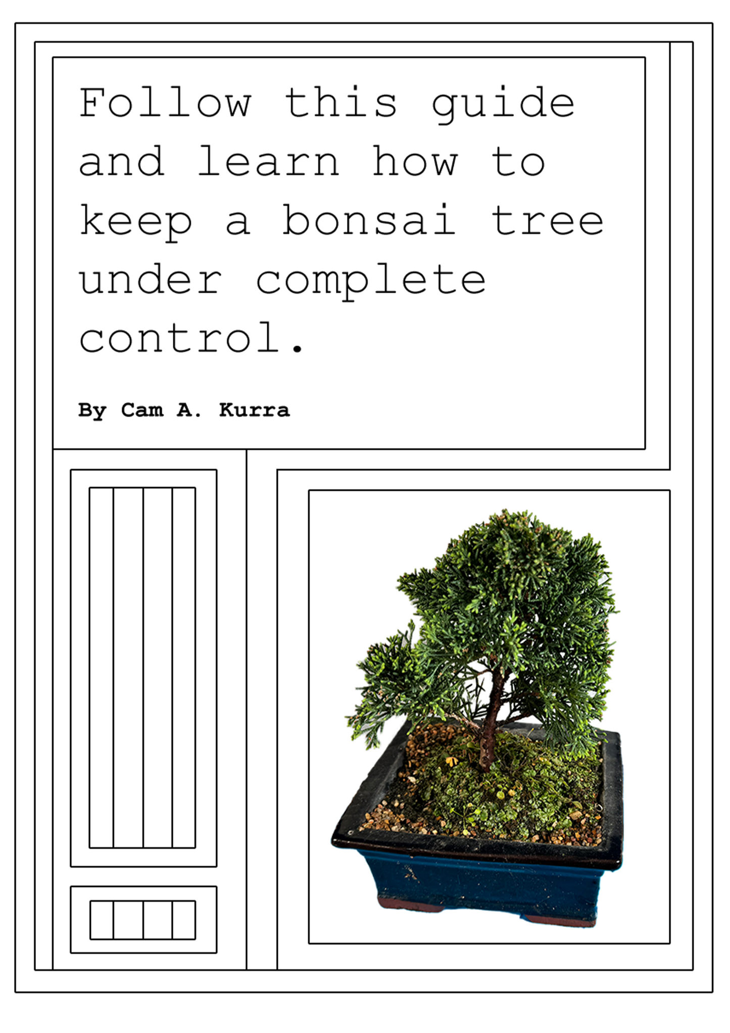 Follow This Guide and Learn How To Keep A Bonsai Tree Under Complete Control